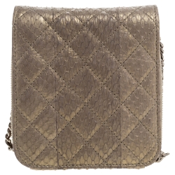 مملوكة مسبقًا Chanel Beige Shimmer Python Zip Around Square Chain Bag