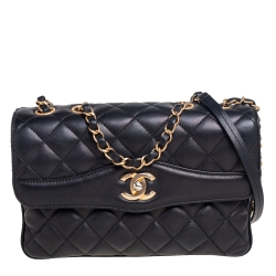 مملوكة مسبقًا Chanel Black Quilted Leather Daily Companion Flap Bag