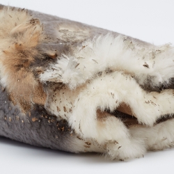 مملوكة مسبقًا Chanel Beige/Gold Rabbit Fur and Leather CC Flap Jeweled Chain Bag