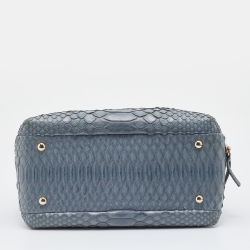 Pre Owned Chanel Grey Python Trendy CC Bowler Bag