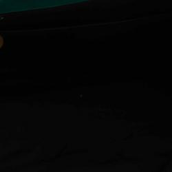 Pre Owned حقيبة يد شانيل فينتدج CC نايلون أخضر/ وردي حمالة سلسلة