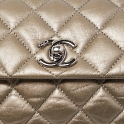 Pre Owned Chanel Beige/Metallic Quilted Leather Lady Pearly Shoulder Bag