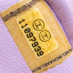 مملوكة مسبقًا Chanel Lilac Python Small Classic Single Flap Bag