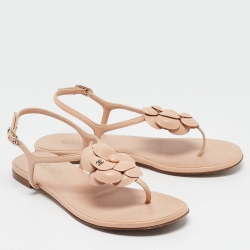 Chanel Beige Leather CC Camellia Thong Ankle Strap Flat Sandals Size 39.5