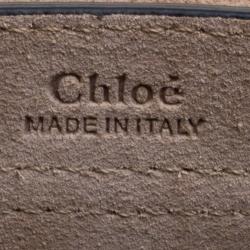 مملوكة مسبقًا Chloe Misty Rose Leather Mini Hudson Shoulder Bag