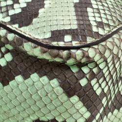 Pre Owned Chloe Brown/Green Python Large Elsie Shoulder Bag