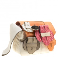 Pre Owned Chloe Multicolor Leather Saskia Clutch Bag