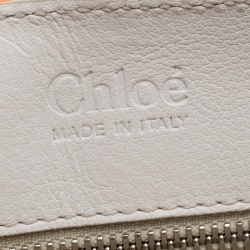 Pre Owned Chloe Multicolor Leather Saskia Clutch Bag