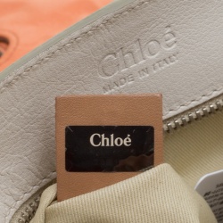 Pre Owned Chloe Multicolor Leather Saskia Clutch Bag