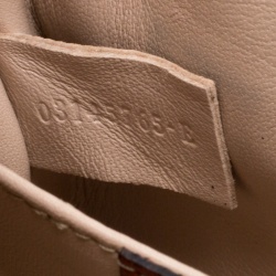 Pre Owned Chloe Copper/Red Leather and Ostrich Medium Elsie Shoulder Bag