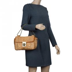 Pre Owned Chloe Brown Python Medium Elsie Shoulder Bag
