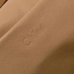 Pre Owned Chloe Brown Python Medium Elsie Shoulder Bag