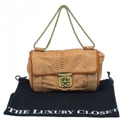 Pre Owned Chloe Brown Python Medium Elsie Shoulder Bag