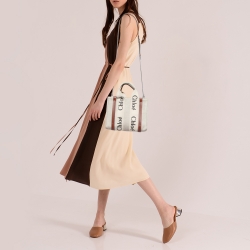 Chloe Beige/Tan Canvas and Leather Small Woody Tote