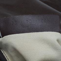 Pre Owned Chloe Brown Multicolored Embroidery Crescent Hobo