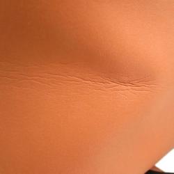 Pre Owned Chloe Coral Polyvinyl Eden Crossbody Bag