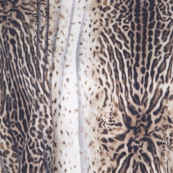 Pre Owned Class by Roberto Cavalli Multicolor Animal Printed Boat Neck Peplum Top L