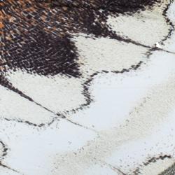 مملوكة مسبقًا Class by Roberto Cavalli Printed Fringe Maxi Dress M