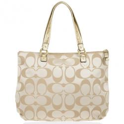 Pre Owned Coach Daisy Applique Multicolor Tote