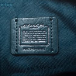 Coach Metallic Green Leather Double Zip Crossbody Bag