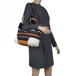 Pre Owned Coach Multicolor Fabric and Leather Tote