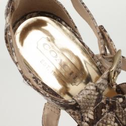 Coach Sarafina Strappy Snakeskin Sandals Size 38.5