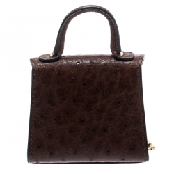 Delvaux Brown Ostrich Brilliant Bag Charm
