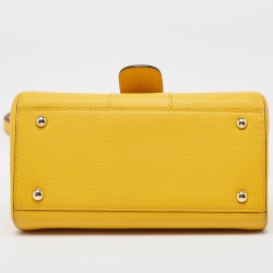 Pre Owned Delvaux Mustard Leather Mini Le Brillant Top Handle Bag
