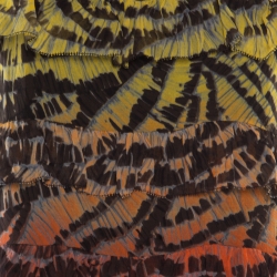 Pre Owned Diane Von Furstenberg Multicolor Ruffled Silk Cordoba Dress M