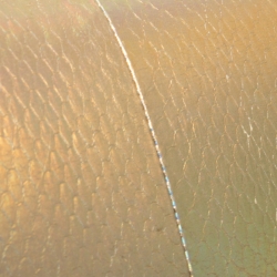 Pre Owned Diane von Furstenberg Gold Snakeskin Effect Leather Powerstone Minaudiere Clutch