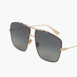 Dior Gold Monsieur2 Pilot Sunglasses