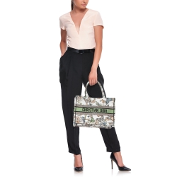 Pre Owned Dior Multicolor Butterfly Embroidered Canvas Medium Book Tote
