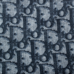 Pre Owned Dior Blue Diorissimo Printed Cotton Sheer Square Scarf