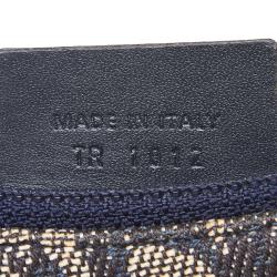 مملوكة مسبقًا حقيبة صغير ديور سادال اوبليك كانفاس رصاصي و أزرق