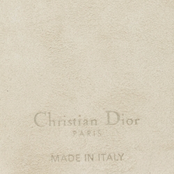 Dior Brown/Pink Toile de Jouy Print Leather iPhone 14 Pro Cord Case