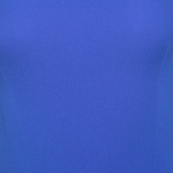 Pre Owned Dior Royal Blue Silk Cowl Back Detail Sleeveless Body Suit S