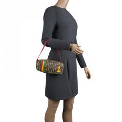 مملوكة مسبقًا حقيبة كتف ديور راستا كانفاس مقوى متعددة الألوان