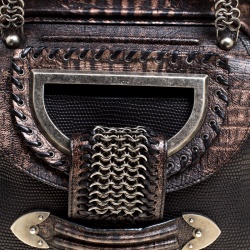 مملوكة مسبقًا Dior Black/Bronze Lizard and Leather Limited Edition 017 Jeanne Frame Satchel