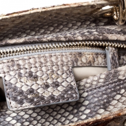 Pre Owned Dior Beige/Gold Python Medium Lady Dior Tote