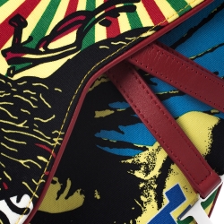 Pre Owned Dior Multicolor Fabric Bob Marley Saddle Bag