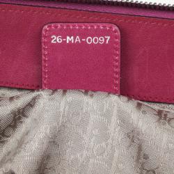 Pre Owned Christian Dior Limited Edition Samurai Framed Satchel