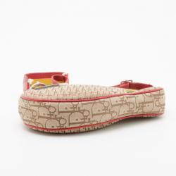 Pre Owned Dior Rasta Collection Saddle Bag