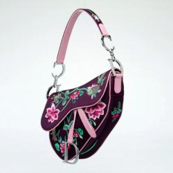 Dior Limited Edition Embroidered Saddle Bag