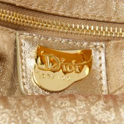 Pre Owned Dior Limited Edition India Saddle Bag
