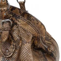 Pre Owned Dior Brown Python My Dior Frame Bag