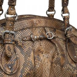 Pre Owned Dior Brown Python My Dior Frame Bag