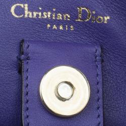 Pre Owned حقيبة توت شوبر ديور ديوريسيمو جلد أخضر كبيرة