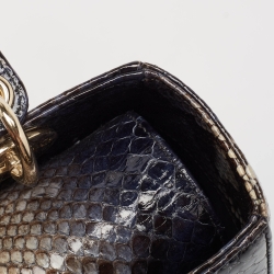 Pre Owned Dior Multicolor Python Medium Lady Dior Tote