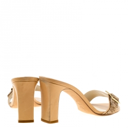 Pre Owned Dior Brown Monogram Canvas Buckle Detail Slides Sandals Size 41