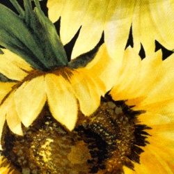 Pre Owned وشاح دولتشي أند غابانا مربع منقط طباعة زهور حرير أسود